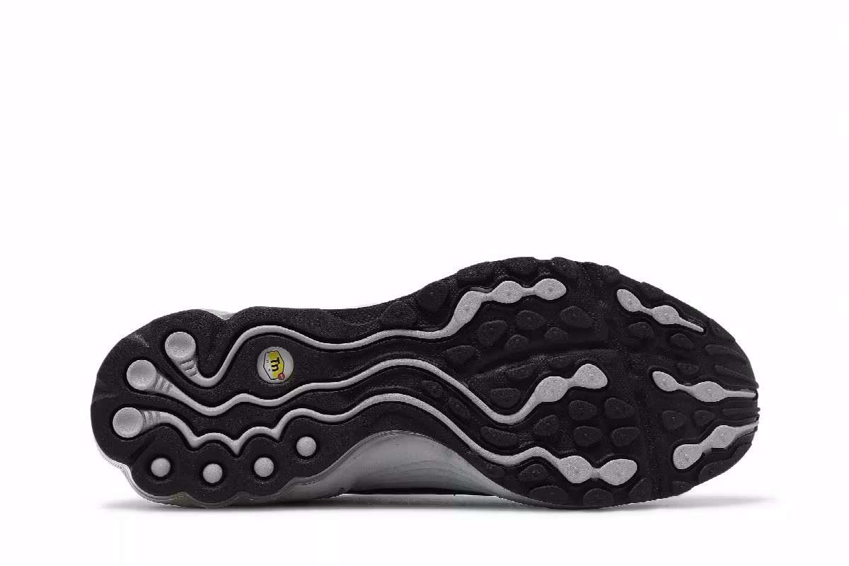 Nike Air Tuned Max Smoke Grey, view 5
