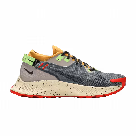 Nike Wmns Pegasus Trail 2 GTX 'Smoke Grey Bucktan'