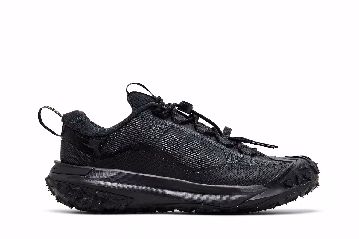 Nike ACG Mountain Fly 2 Low GORE-TEX Dark Smoke Grey, view 2