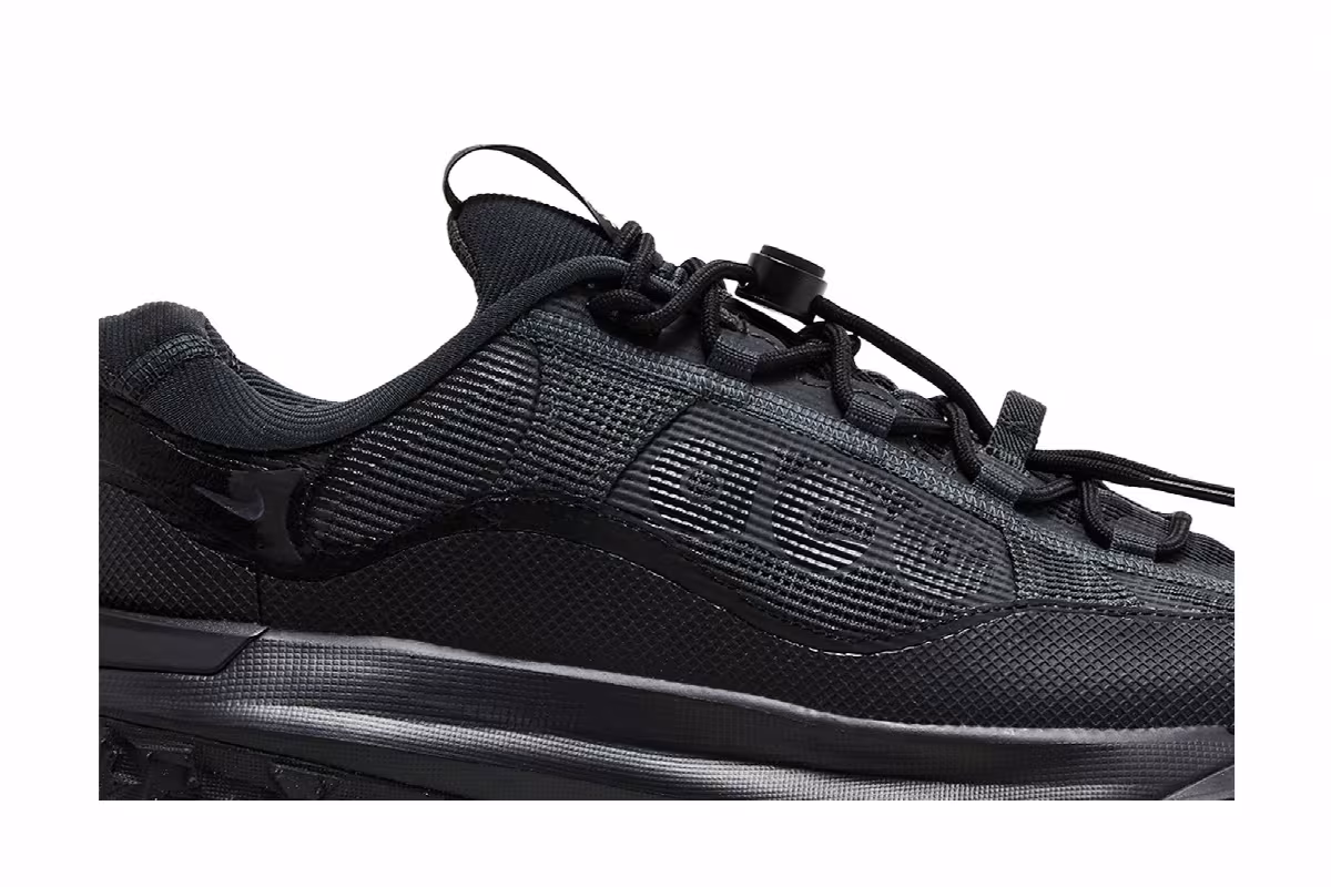 Nike ACG Mountain Fly 2 Low GORE-TEX Dark Smoke Grey, view 3