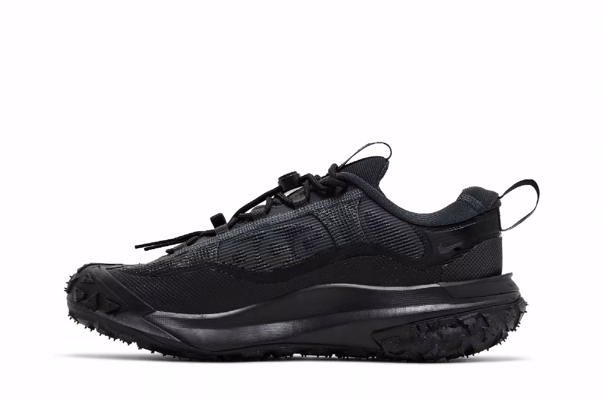 Nike ACG Mountain Fly 2 Low GORE-TEX Dark Smoke Grey, view 4