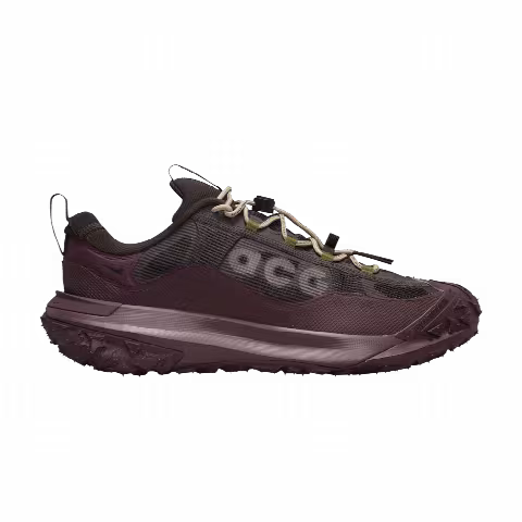 Nike ACG Mountain Fly 2 Low GORE-TEX 'Velvet Brown'