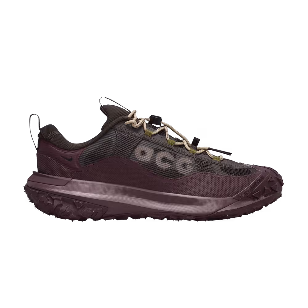 Nike ACG Mountain Fly 2 Low GORE-TEX Velvet Brown
