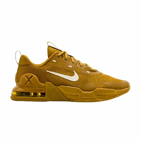 Nike Air Max Alpha Trainer 5 'Bronzine'