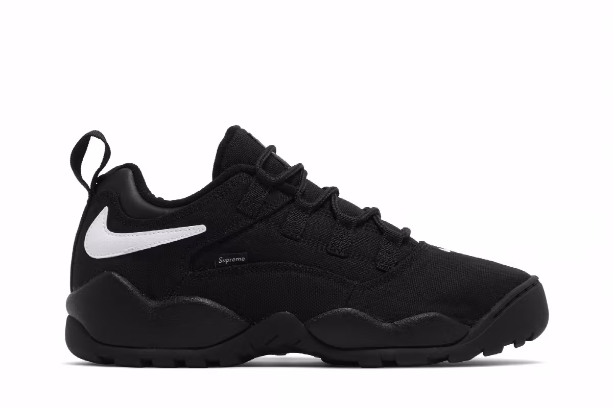 Supreme x Nike Darwin Low SB Black, view 2