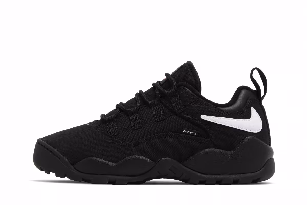 Supreme x Nike Darwin Low SB Black, view 4