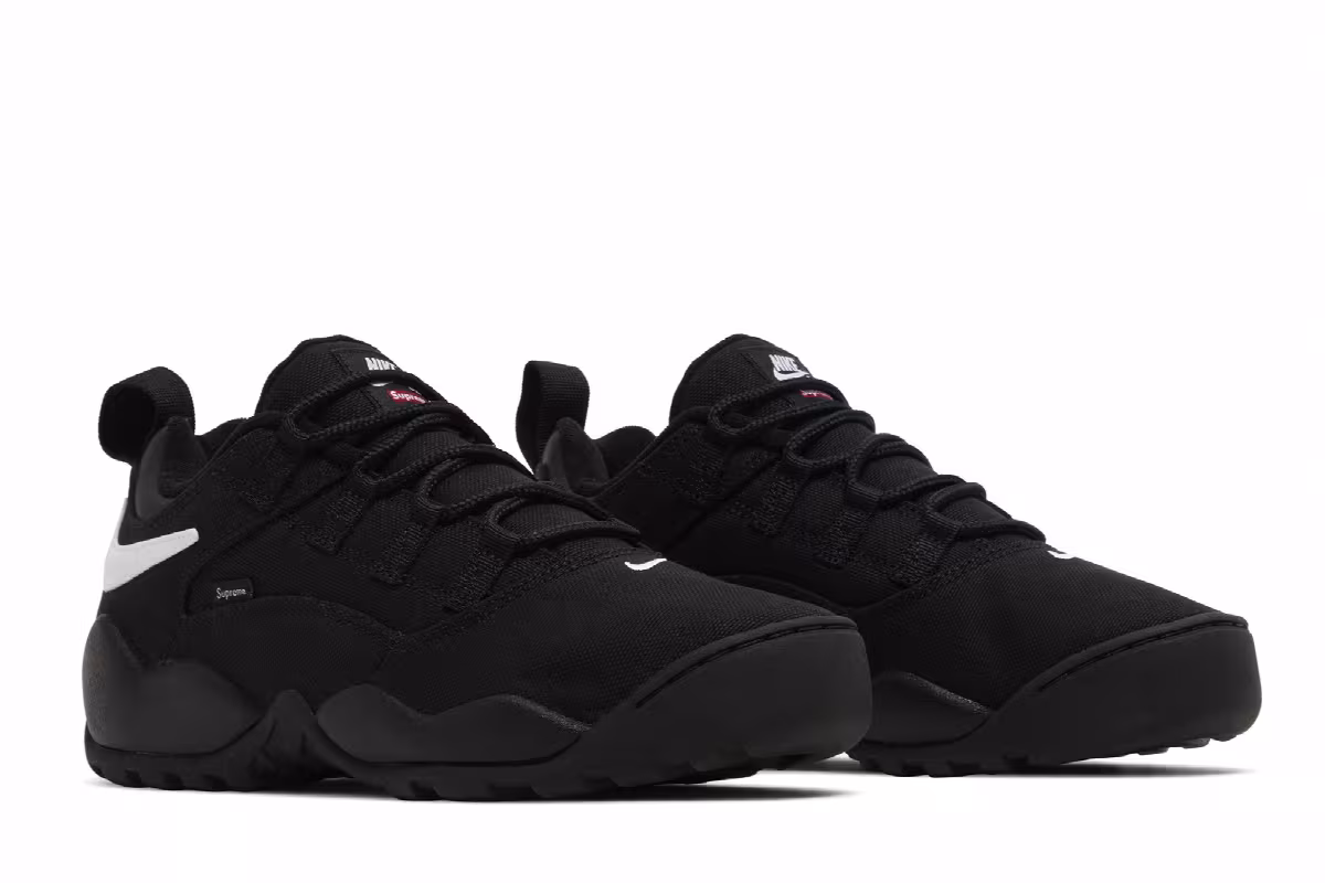 Supreme x Nike Darwin Low SB Black, view 9