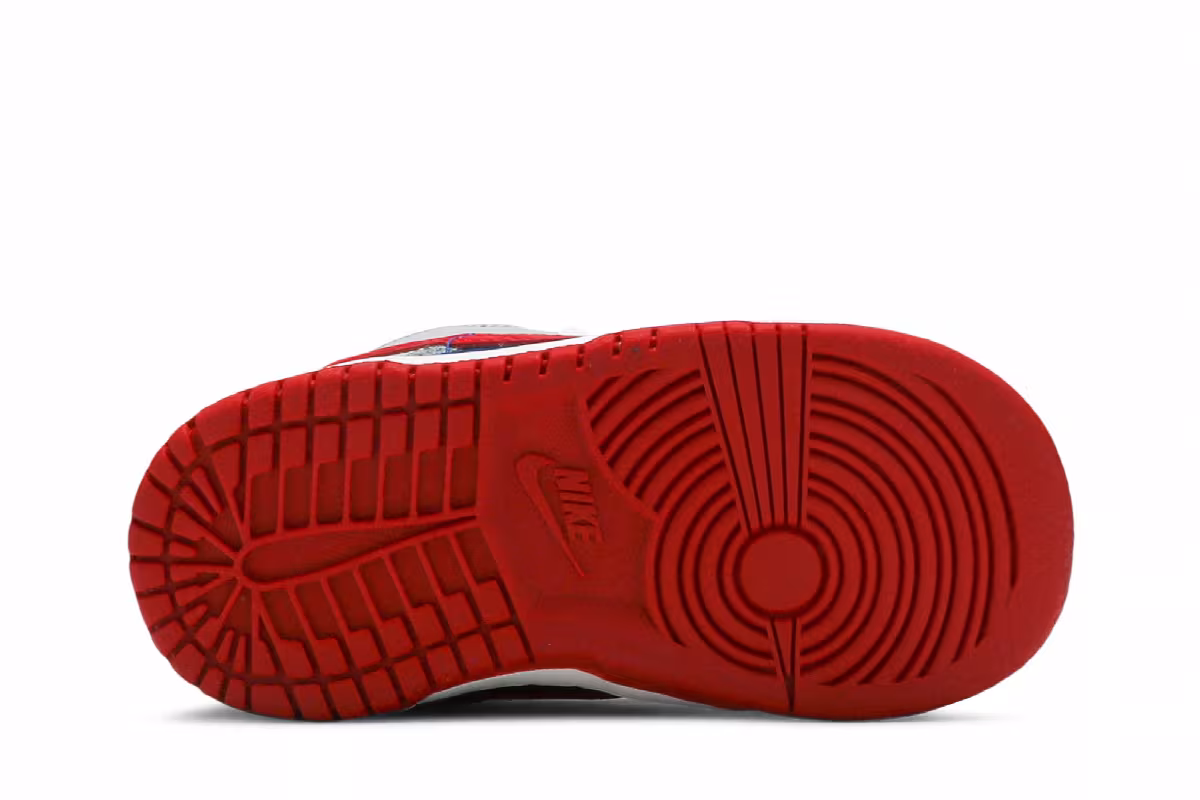 Nike Dunk Low TD Samba 2020, view 5