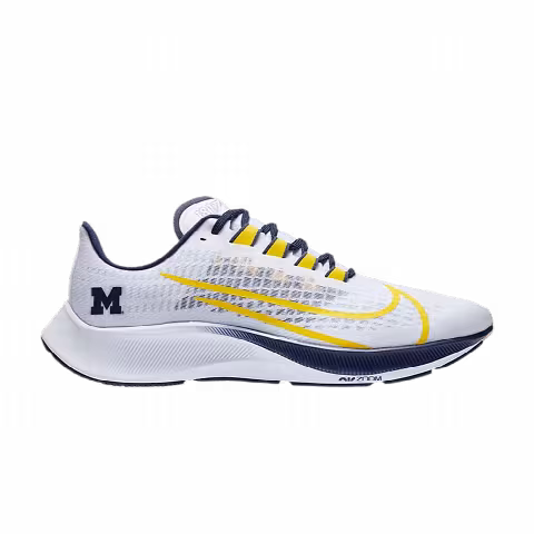 Nike Air Zoom Pegasus 37 'Michigan'