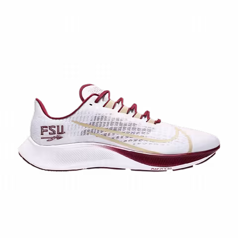 Nike Air Zoom Pegasus 37 'Florida State'