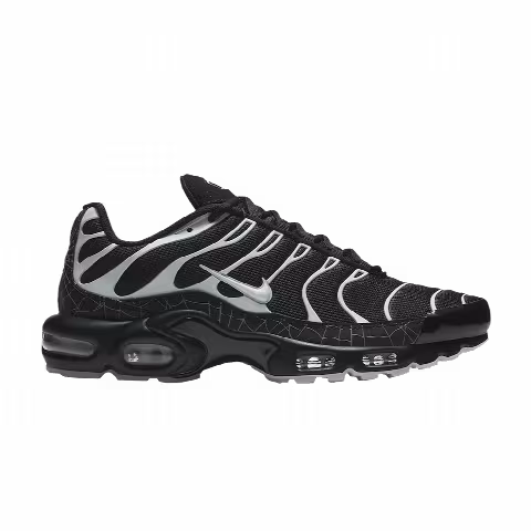 Nike Air Max Plus 'Spider Web'