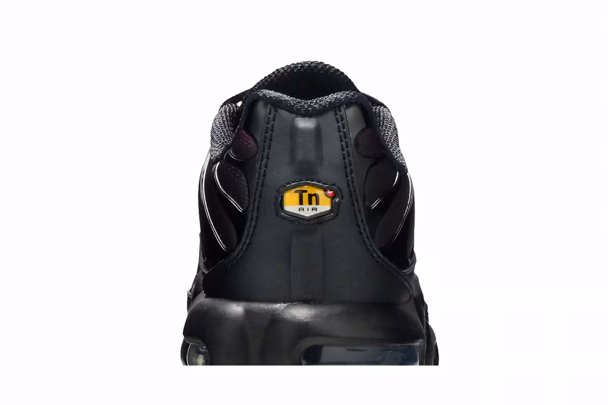 Nike Air Max Plus GS Black Crimson, view 8