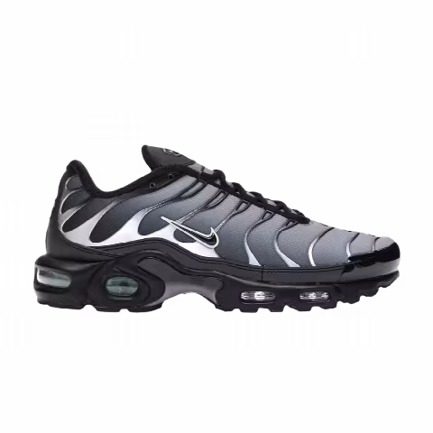 Nike Air Max Plus 'Particle Grey Vapour Green'