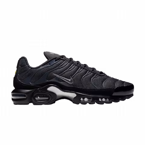 Nike Air Max Plus 'Black Navy'