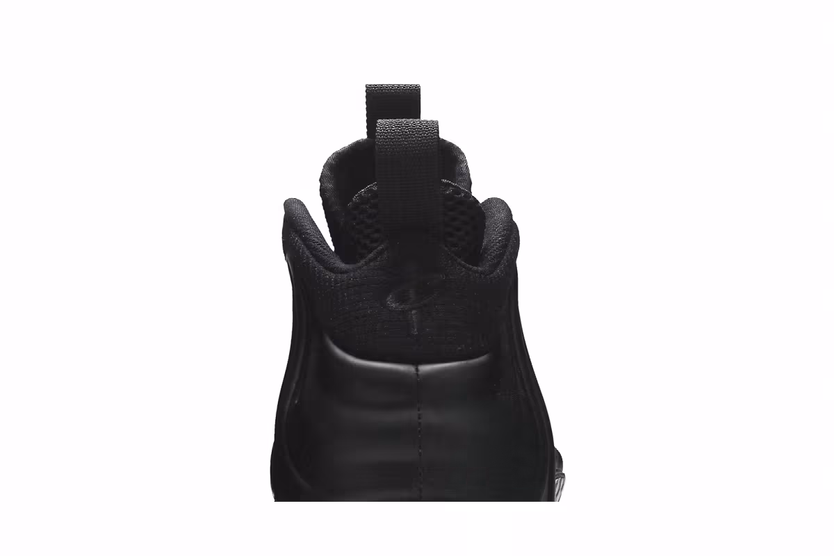 Nike Air Foamposite One Anthracite 2020, view 8