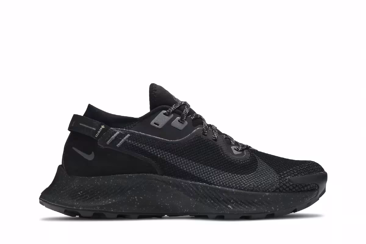 Nike Pegasus Trail 2 GTX Black Metallic Dark Grey, view 2