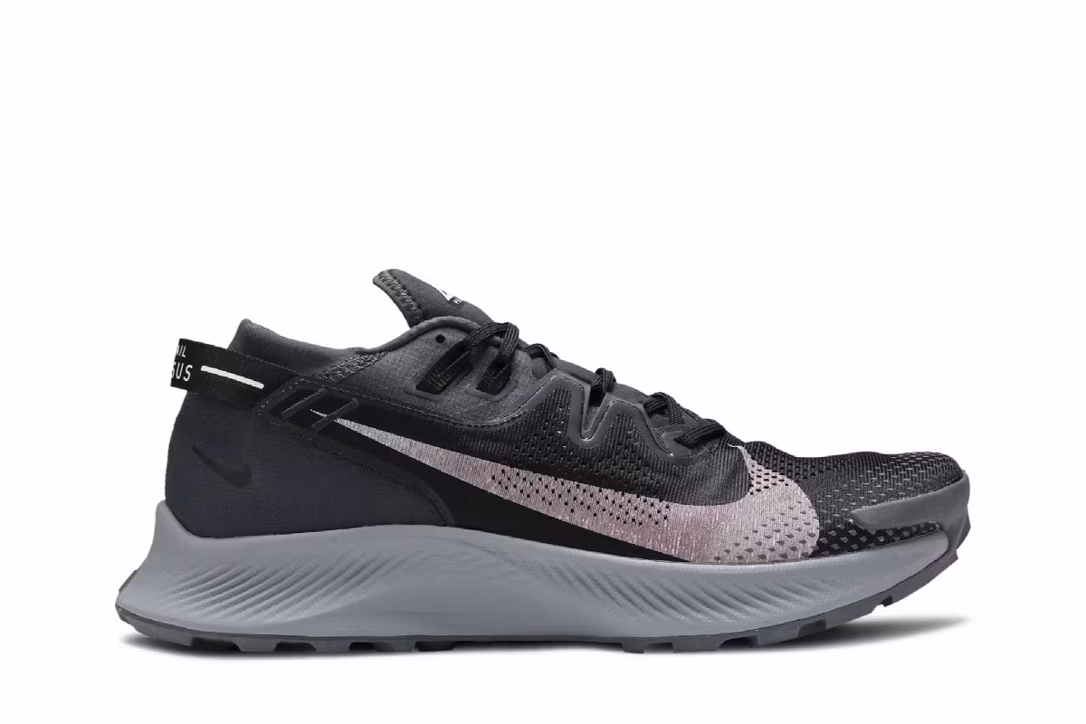 Nike Pegasus Trail 2 Dark Smoke Grey, view 2