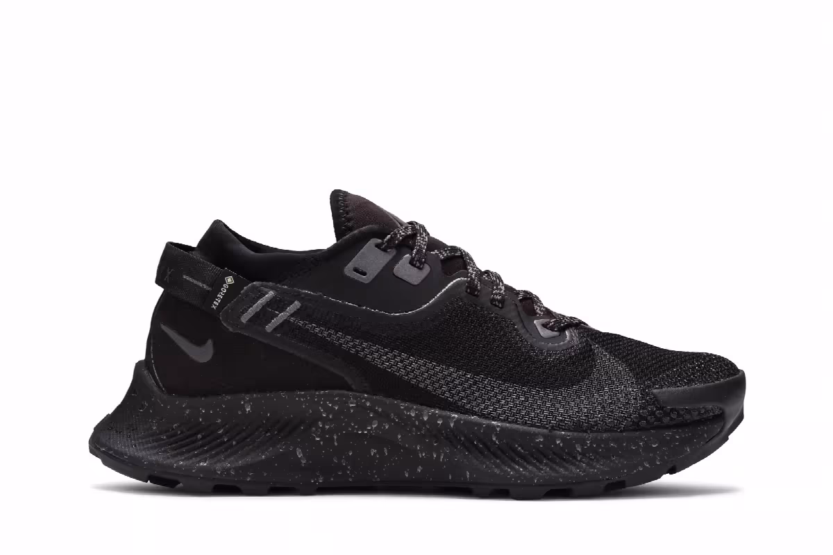 Nike Women's Pegasus Trail 2 Gore-Tex Black Metallic Dark Grey, view 2