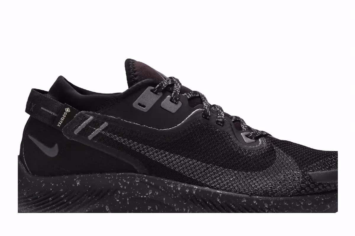 Nike Women's Pegasus Trail 2 Gore-Tex Black Metallic Dark Grey, view 3