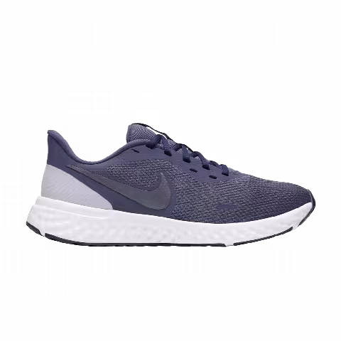 Nike Wmns Revolution 5 'Sanded Purple'