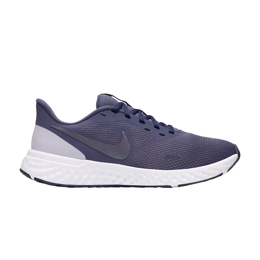Nike Women's Revolution 5 Sanded Purple