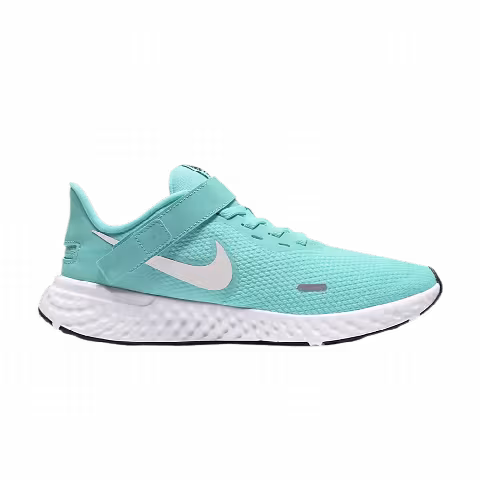 Nike Wmns Revolution 5 FlyEase 'Aurora Green'