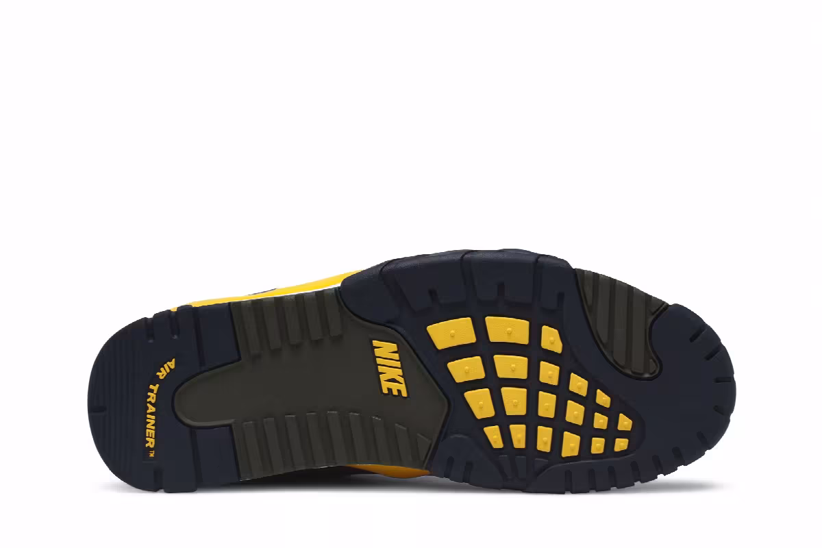 Nike Air Trainer 3 Viotech 2020, view 5
