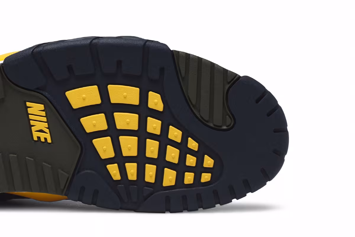 Nike Air Trainer 3 Viotech 2020, view 6