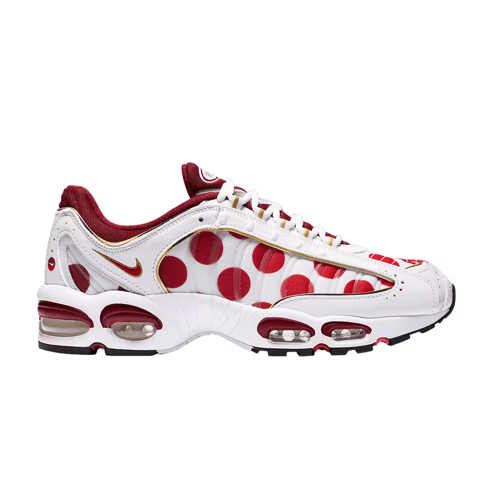 Nike Air Max Tailwind 4 Nippon
