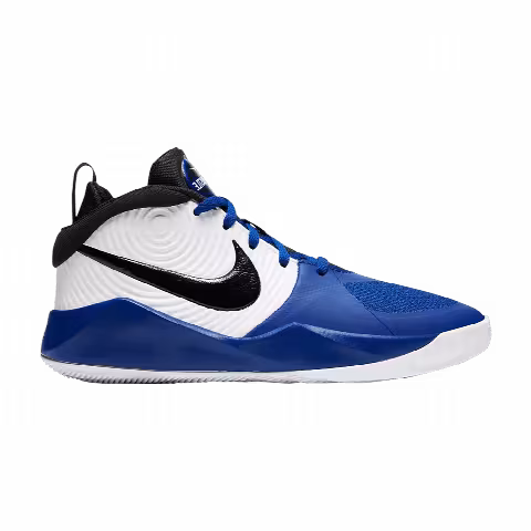 Nike Team Hustle D9 GS 'White Game Royal'