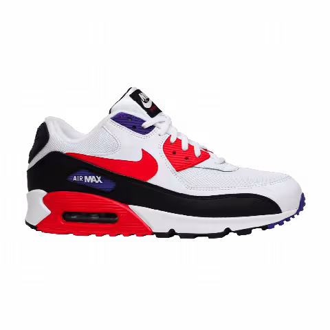 Nike Air Max 90 Essential 'Raptors'