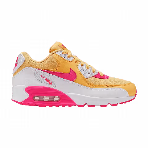 Nike Wmns Air Max 90 'Topaz Fuchsia'