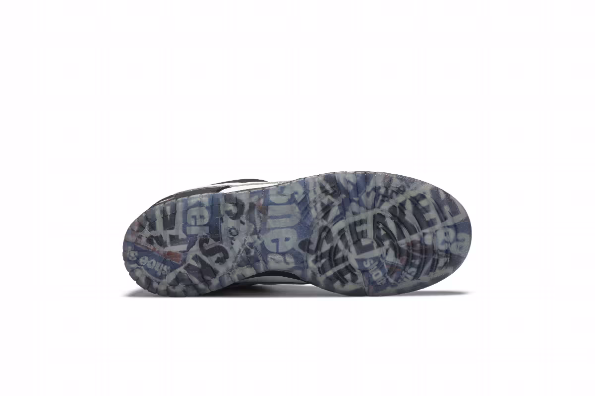 Jeff Staple x Nike Dunk Low Pro SB Panda Pigeon, view 5