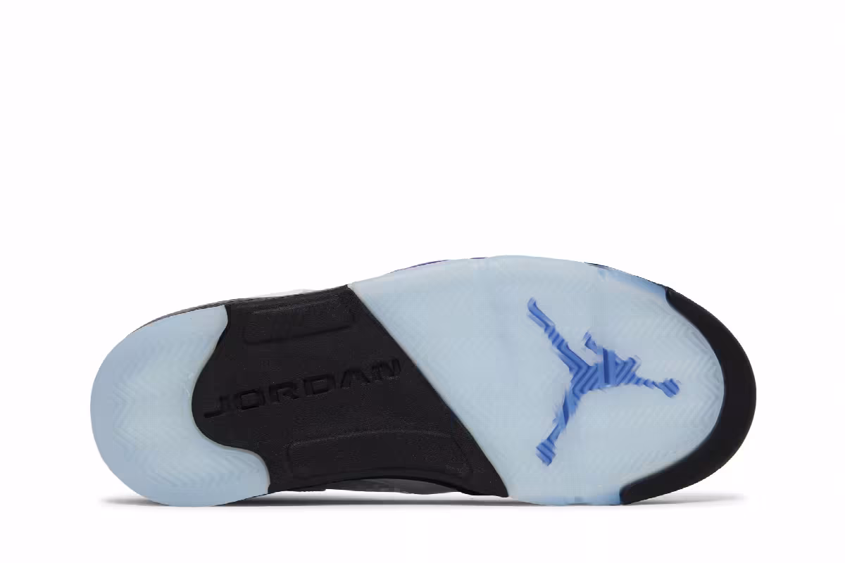 Air Jordan 5 Concord, view 5