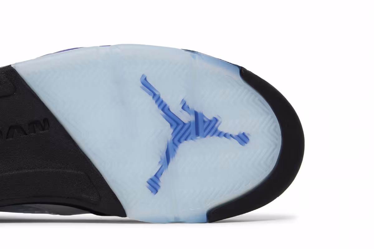 Air Jordan 5 Concord, view 6