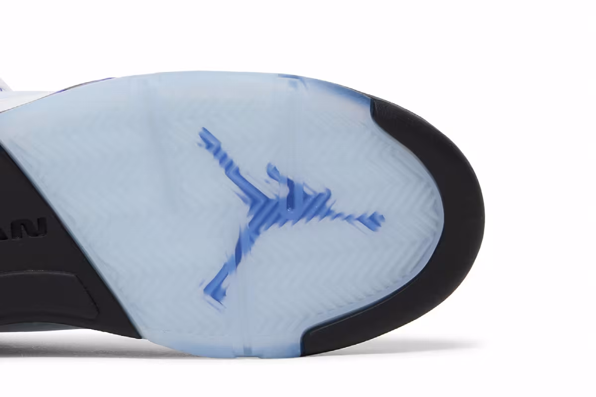 Air Jordan 5 GS Concord, view 6