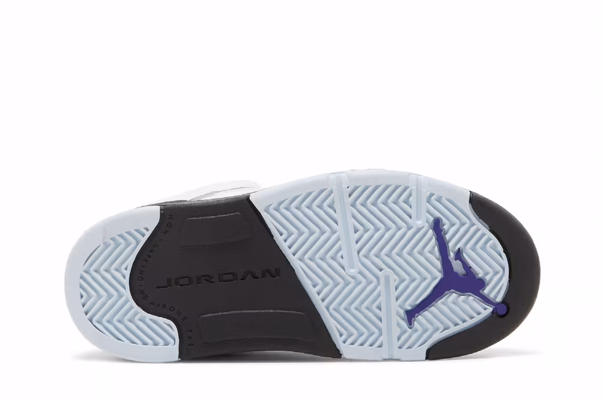 Air Jordan 5 TD Concord, view 5