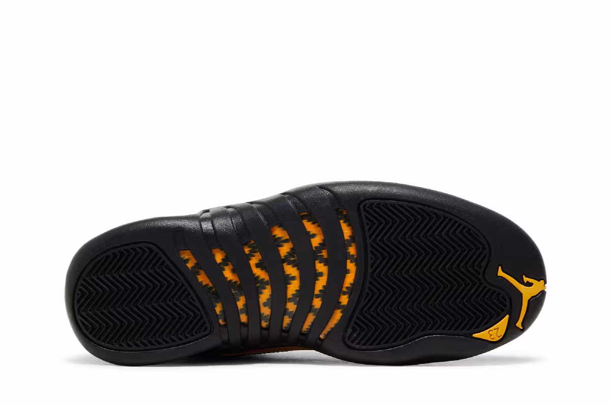 Air Jordan 12 Black Taxi, view 5