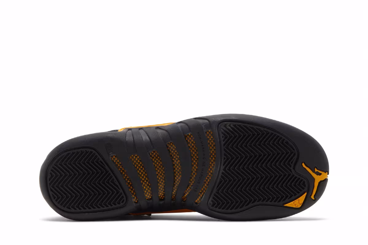 Air Jordan 12 GS Black Taxi, view 5