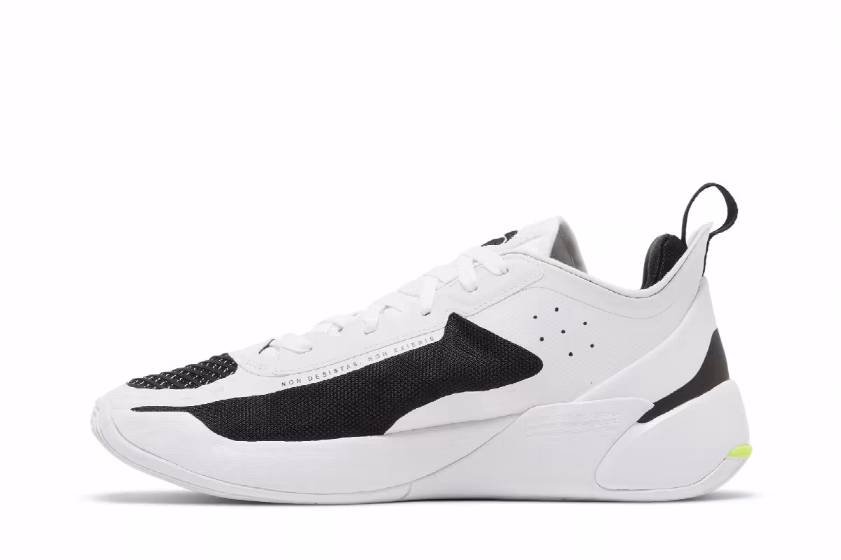Air Jordan Luka 1 PF Reverse Orca, view 4