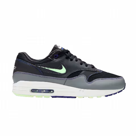 Nike Air Max 1 'Future Swoosh'