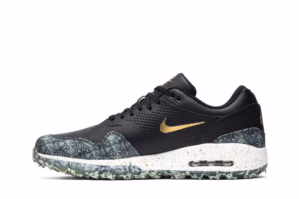 Nike Air Max 1 Golf NRG Payday, Money, Currency, view 4