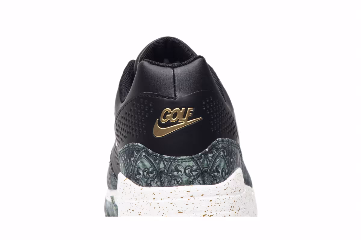 Nike Air Max 1 Golf NRG Payday, Money, Currency, view 8