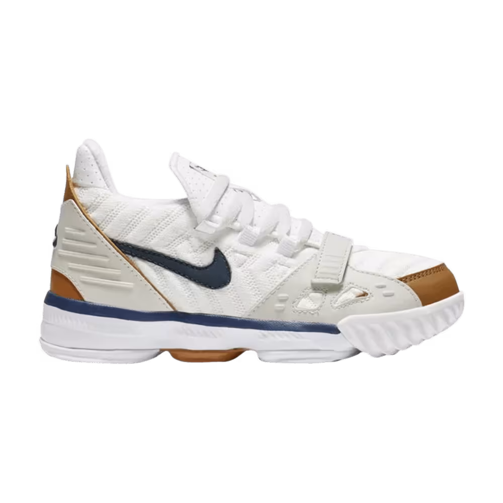 Nike LeBron 16 PS Air Trainer Medicine Ball