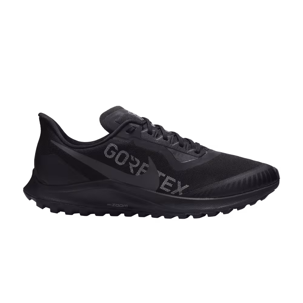 Nike Air Zoom Pegasus 36 Trail Gore-Tex Black