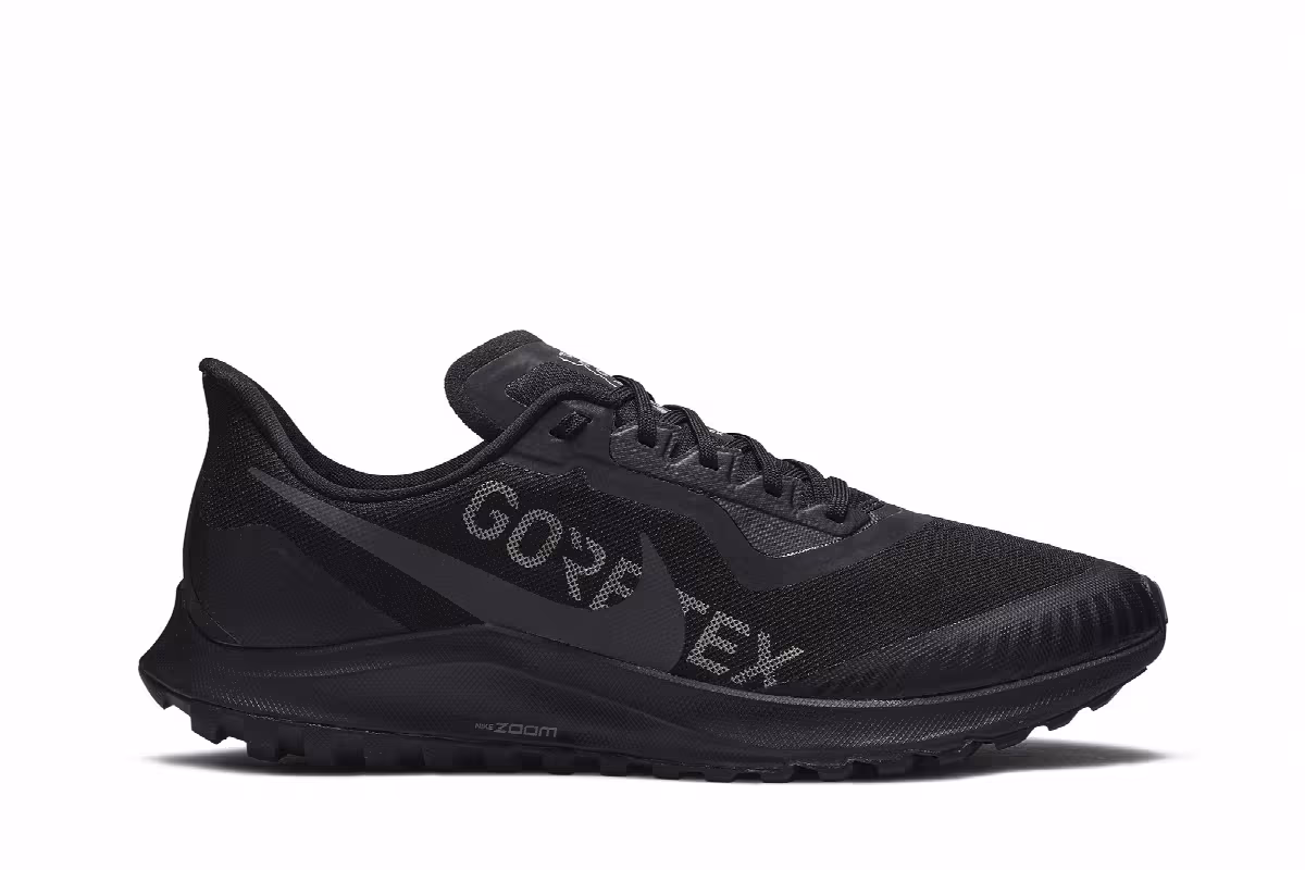 Nike Air Zoom Pegasus 36 Trail Gore-Tex Black, view 2