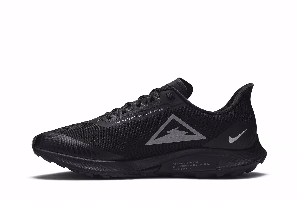 Nike Air Zoom Pegasus 36 Trail Gore-Tex Black, view 4