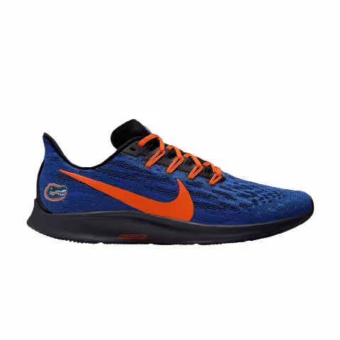 Nike Air Zoom Pegasus 36 'Florida Gators'