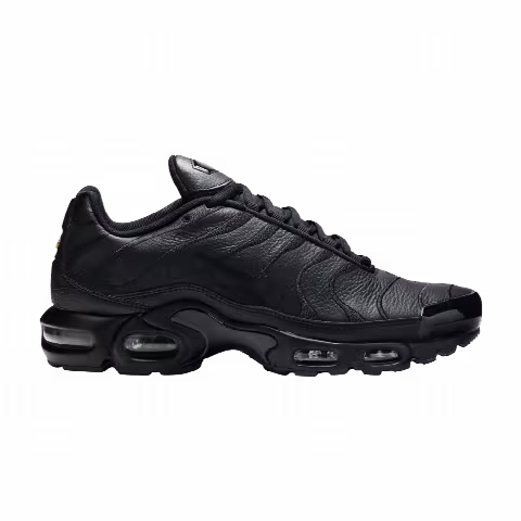Nike Air Max Plus TN 'Triple Black'