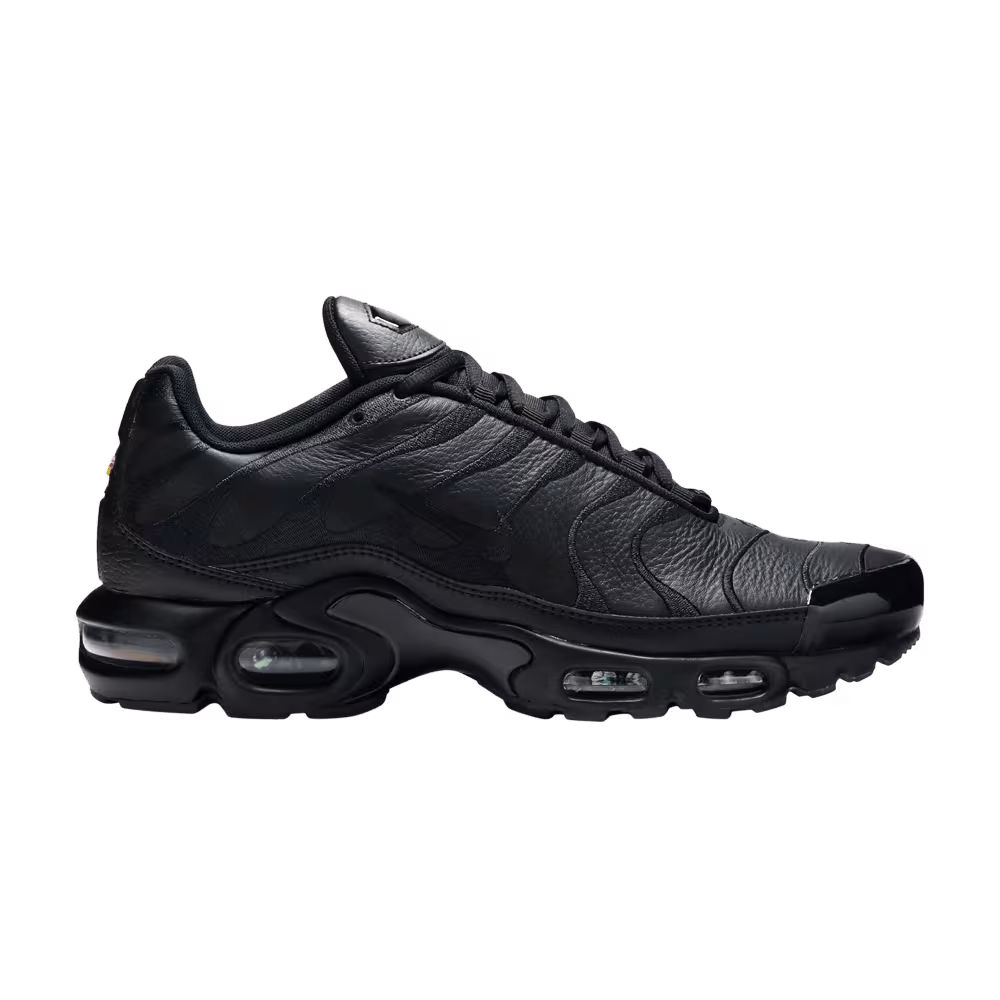 Nike Air Max Plus TN Triple Black